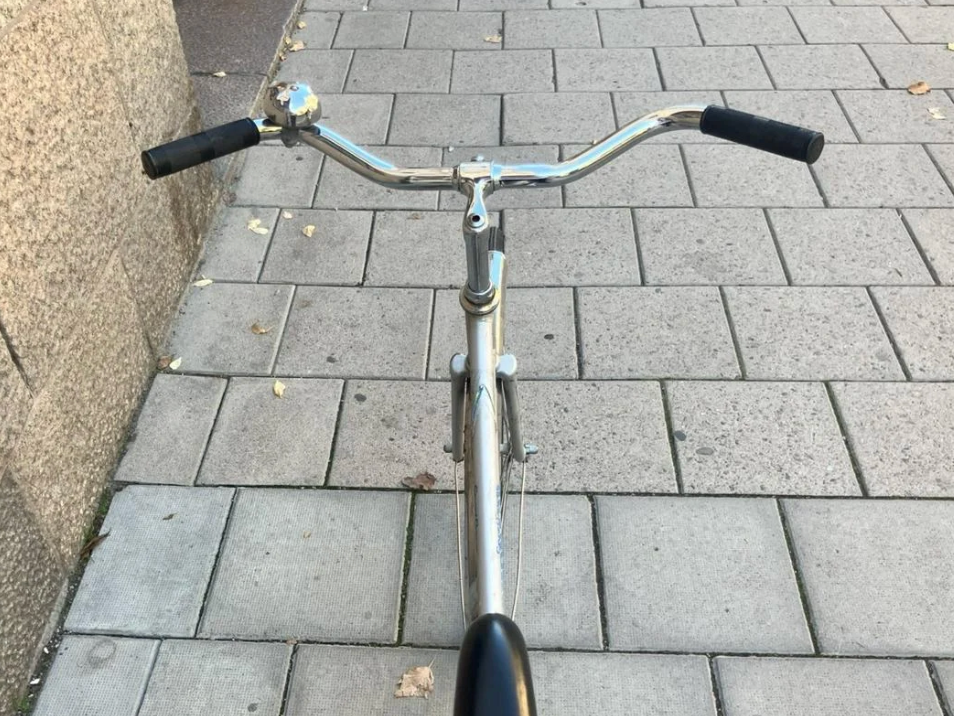 Grå Monark Damcykel
